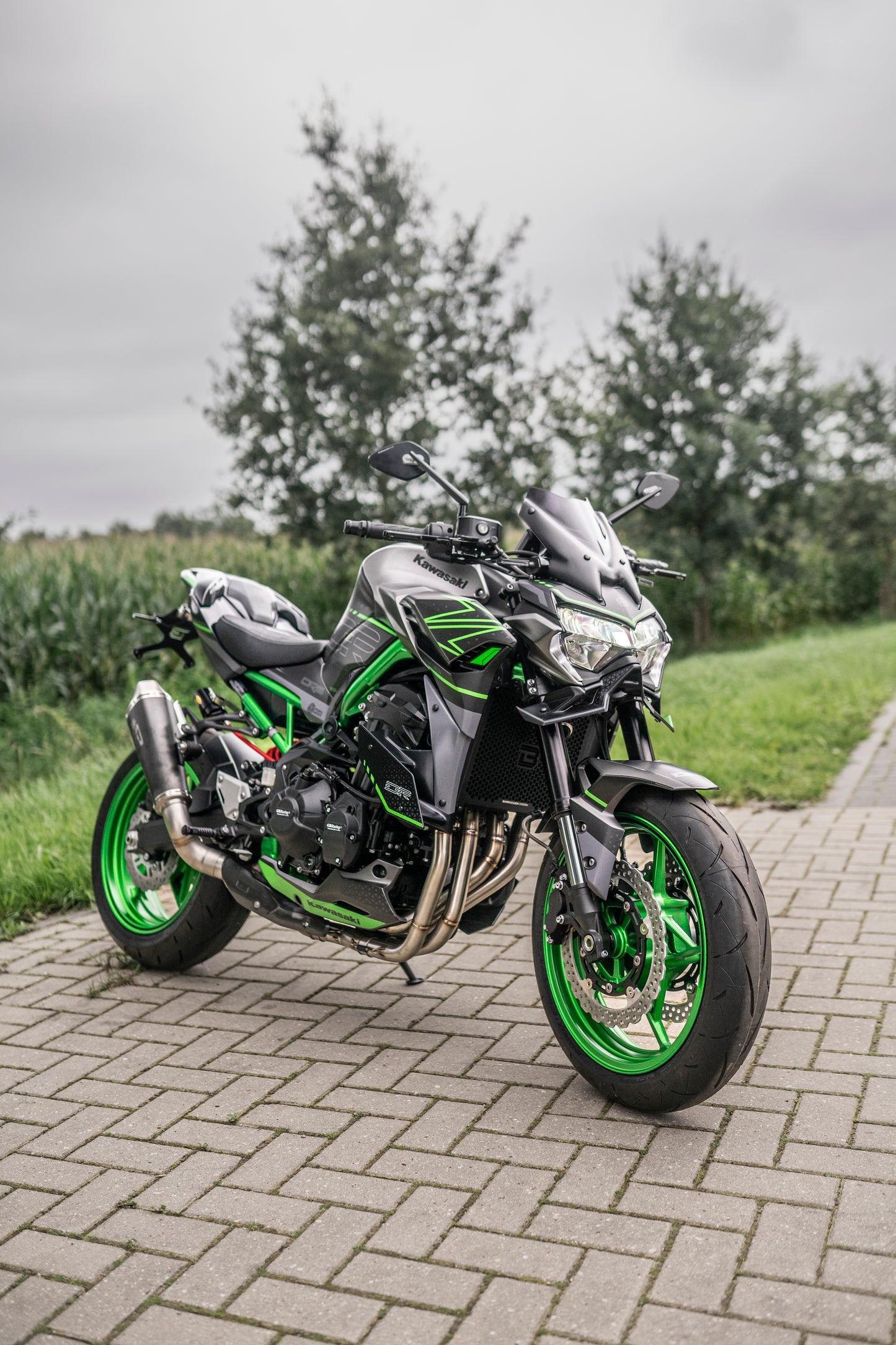 Side Spoiler Kawasaki Z900 (2020-2024)