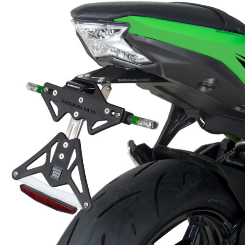 License plate holder Kawasaki Z650/Ninja650 (2017-2024)