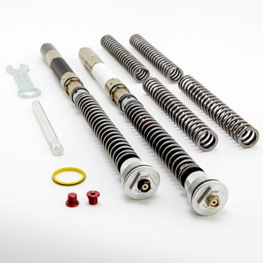 Front Fork Cartridges DDS Kawasaki ZX-10R(R) (2016-2020) Showa BFF