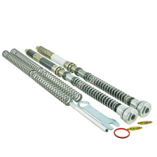Front Fork Cartridges DDS BMW S1000RR/M1000RR (2019-2025) Marzzochi