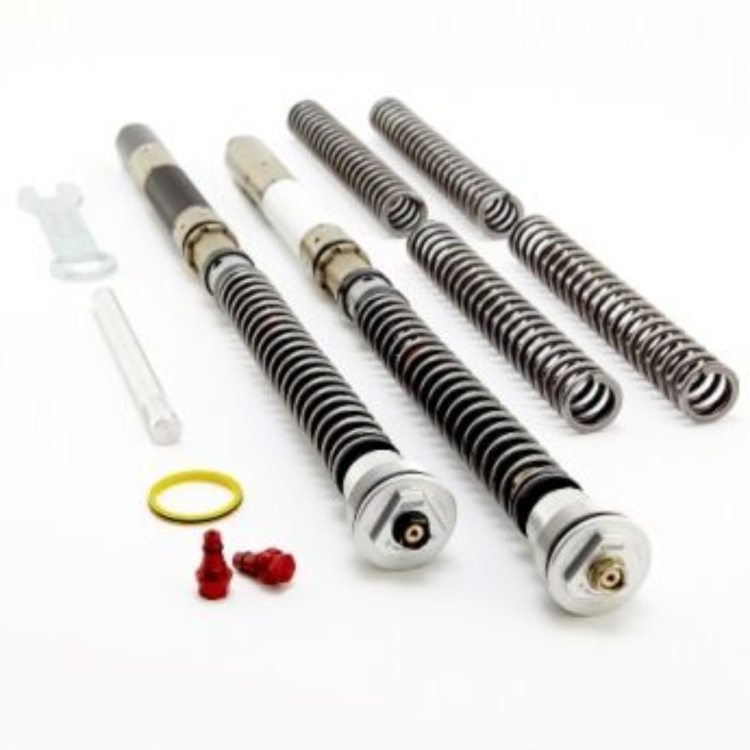 Front Fork Cartridges DDS Triumph Street Triple 765RS