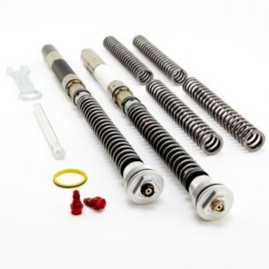 Front Fork Cartridges DDS Triumph Street Triple 765RS