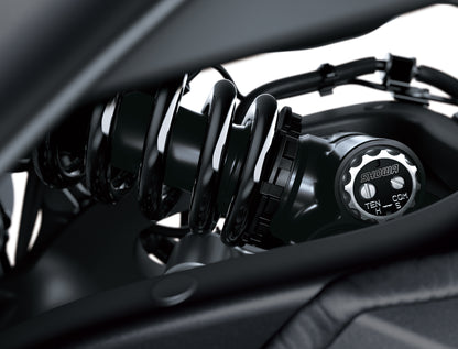 Kawasaki Ninja ZX-10R - TRACK