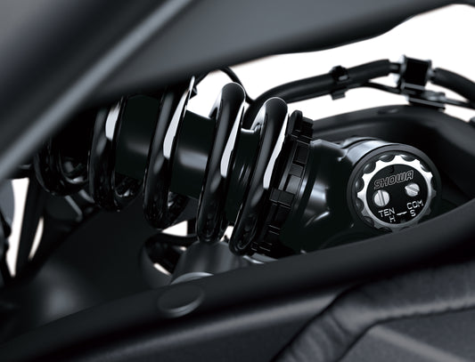 Kawasaki Ninja ZX-10R - TRACK