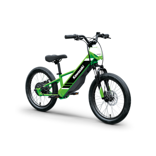 Kawasaki Elektrode 20 | 2025