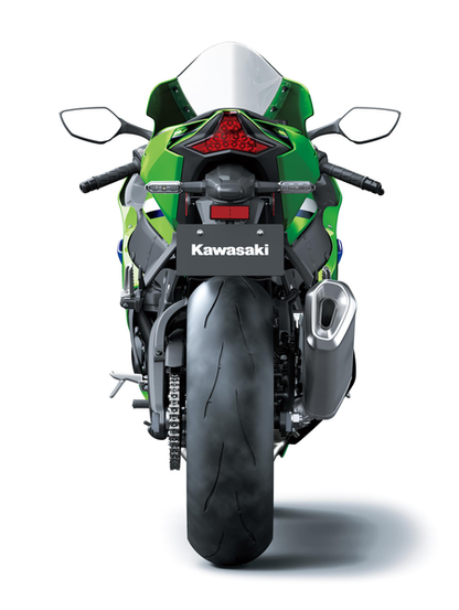 Kawasaki DRS Ninja ZX-10R - PRO 