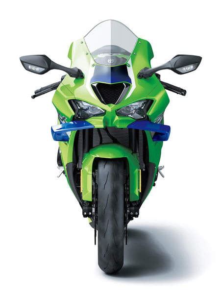 Kawasaki DRS Ninja ZX-10R - PRO 