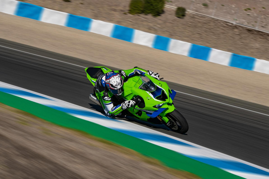 Kawasaki DRS Ninja ZX-10R - PRO
