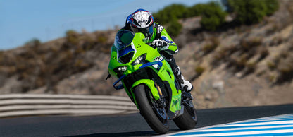 Kawasaki Ninja ZX-10R - TRACK